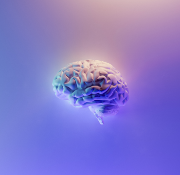 second-brain